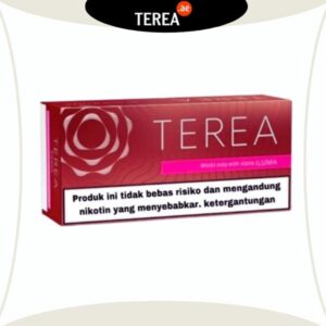 TEREA Sienna Indonesia - Terea Heets for IQOS ILUMA in Dubai UAE