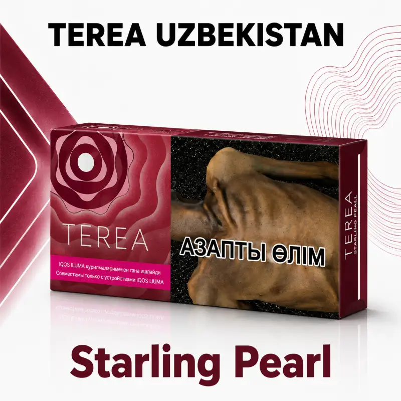 TEREA Starling Pearl Uzbekistan pack graphic – heated tobacco sticks for IQOS ILUMA
